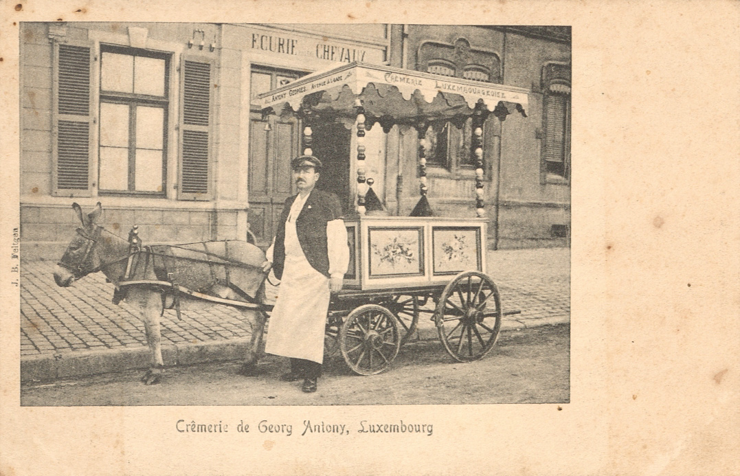 « Crêmerie de Georges Antony ». Carte postale, Berlin : Wolff’s Kunstanstalt, [s.d.].