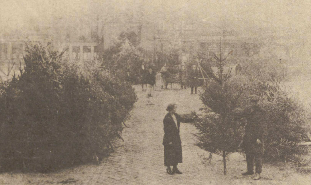Der Christbaum-Markt in Luxemburg