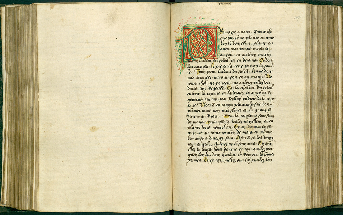 Luxembourg, BnL, Ms 95, f. 186v-187r (IIe distinction, 2e article)